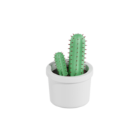 cactus plantes illustrations 3d png