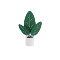 Calathea-Pflanze 3D-Illustrationen png