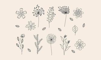 Hand drawn flower and branches doodle vector