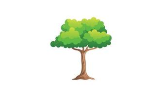 árbol verde caducifolio con raíces expuestas ilustración vectorial aislada vector