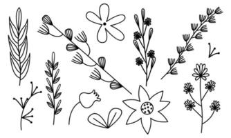 vector de doodle de flores y ramas dibujadas a mano