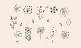 vector de doodle de flores y ramas dibujadas a mano