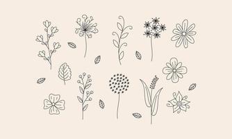 Hand drawn flower and branches doodle vector