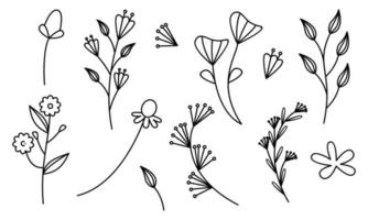 vector de doodle de flores y ramas dibujadas a mano