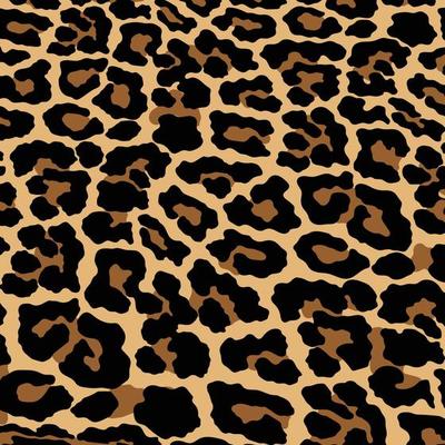 Leopard, cheetah and jaguar print pattern. Animal skin print pattern design. 10839221 Vector Art at Vecteezy Leopard, cheetah and jaguar print pattern. Animal skin print pattern design. 10839221 Vector Art at Vecteezy