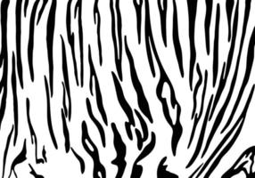 vector patrón de impresión de tigre negro animal sin costuras.