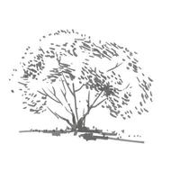 Hand-drawn bush. Rrealistic image in shades of gray, sketch painted with ink brush vector