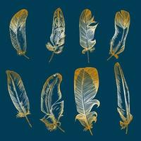 establecer un boceto realista de plumas de pájaro en un fondo aislado. arte detallado del clip de la pluma de la línea de tinta, clipart boho de la pluma dorada. estilo de grabado dibujado a mano. vectores de la vendimia