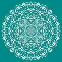 Mandala art circular trippy round decorative design for web or print element vector