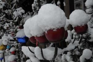 winter time in a german garden photo