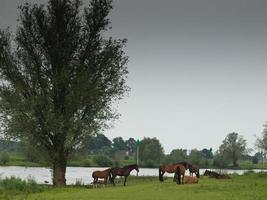 the city of Doesburg in the netherlands photo