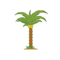 árbol de coco, diseño de vector de ilustración de palmera, icono de árbol de coco aislado en fondo blanco de la colección de ecología.