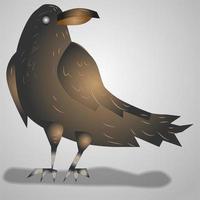 Raven Vector Illustration