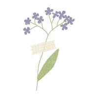 Hand drawn dried flower with washi tape . Vector element isolaten on white background