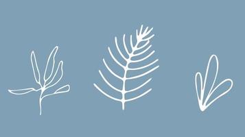 Collection of spruce branches, flowers, leaves for New Year Christmas holiday decor. Linear design elements in a linear style. Vector illustration in doodle style for postcards, banners, stickers.
