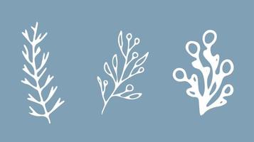 Collection of spruce branches, flowers, leaves for New Year Christmas holiday decor. Linear design elements in a linear style. Vector illustration in doodle style for postcards, banners, stickers.