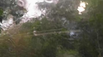 Heavy rain monsoon in tropical nature Mexico. video