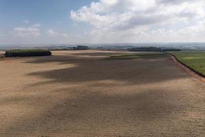 Plowed land covered with straw and ready to receive new planting photo