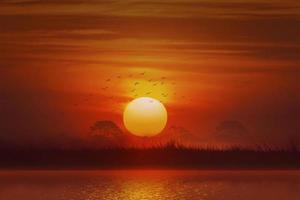 silhouette Animal, elephant and giraffe and grass and tree at sunset photo