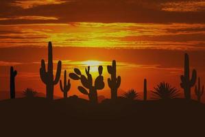 desierto y puesta de sol foto
