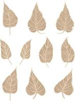 fallen autumn leaves vector set