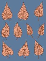 fallen autumn leaves vector set