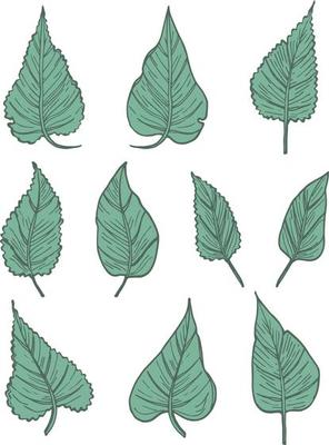 fallen autumn leaves vector set
