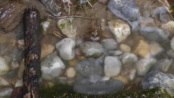 water druppels in een plas over- rotsen video