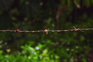 primer plano de una cerca de alambre de púas en un área restringida. foto