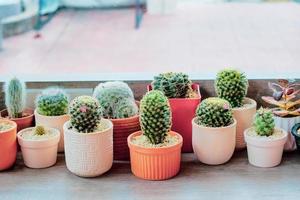 cute cactus on the table with beautiful flowers photo