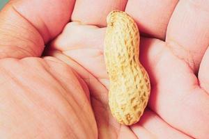 Food crisis concept. Starvation. 1 peanut in hand. photo