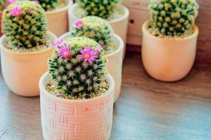 cute cactus on the table with beautiful flowers photo