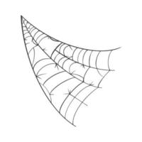 Vector Spider web on white