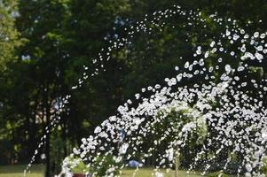 A jet of water pouring upwards in the form of an arc. Fountain streams of water against the background of green trees. photo