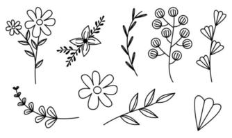 vector de doodle de flores y ramas dibujadas a mano