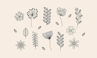 Hand drawn flower and branches doodle vector