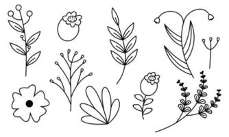 vector de doodle de flores y ramas dibujadas a mano