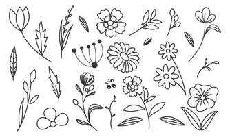 vector de doodle de flores y ramas dibujadas a mano