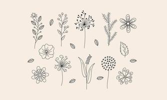 Hand drawn flower and branches doodle vector