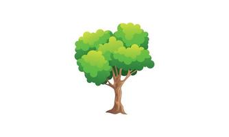 Deciduous green tree with exposed roots isolated vector illustration