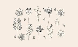 vector de doodle de flores y ramas dibujadas a mano