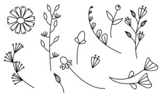 vector de doodle de flores y ramas dibujadas a mano