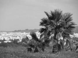 the city of tunis photo