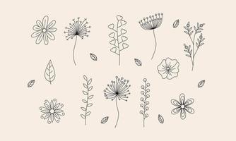 vector de doodle de flores y ramas dibujadas a mano