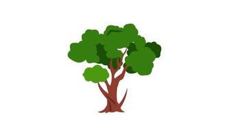 árbol verde caducifolio con raíces expuestas ilustración vectorial aislada vector