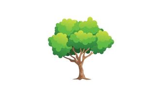 Deciduous green tree with exposed roots isolated vector illustration