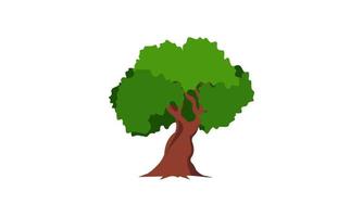 árbol verde caducifolio con raíces expuestas ilustración vectorial aislada vector