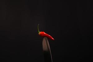 premium chili in the bled with black background landscape photo