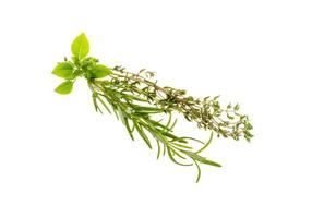 Fresh aroma herbs on white background photo