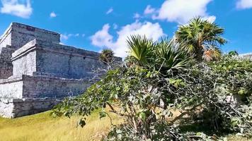 tulum quintana roo mexico 2022 antiguas ruinas de tulum sitio maya templo piramides artefactos paisaje marino mexico.